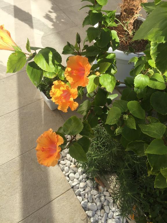 Holiday home Caelum Trapani