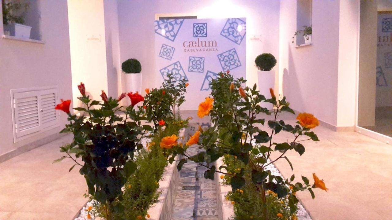 Holiday home Caelum