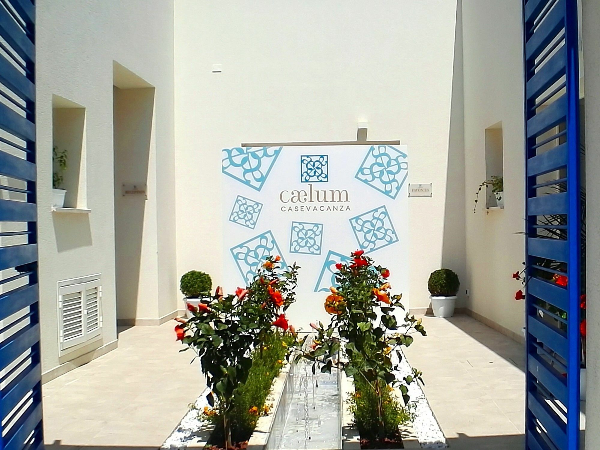 Caelum Trapani